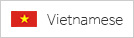 Vietnamese ̹