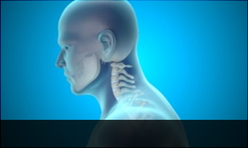 자생한방병원 목질환 일자목증후군-정상적인 C자형 목뼈 모습입니다.